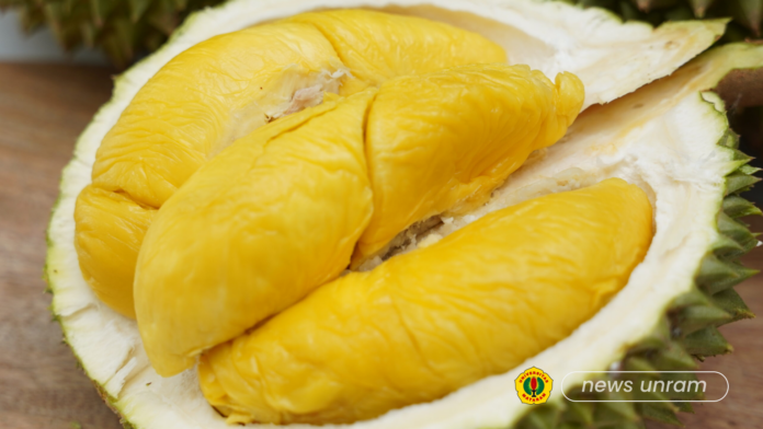 Aroma Durian