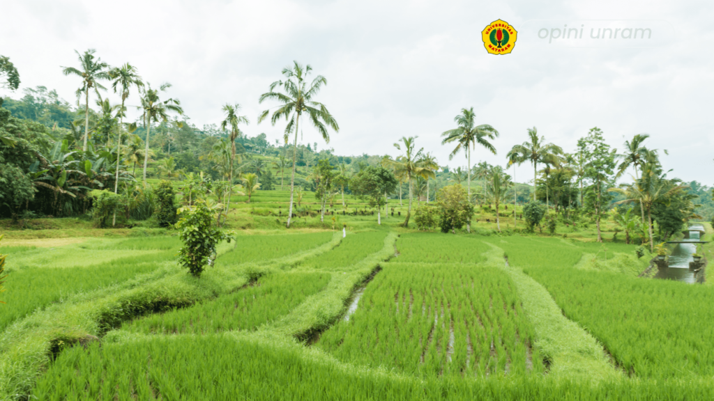 pertanian di mataram